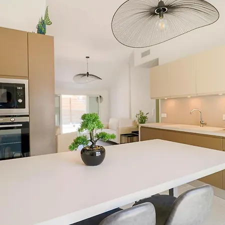 Meynadier Renovated Designer With Rooftop In Apartment