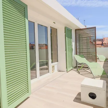 Meynadier Renovated Designer With Rooftop In Apartment Cannes